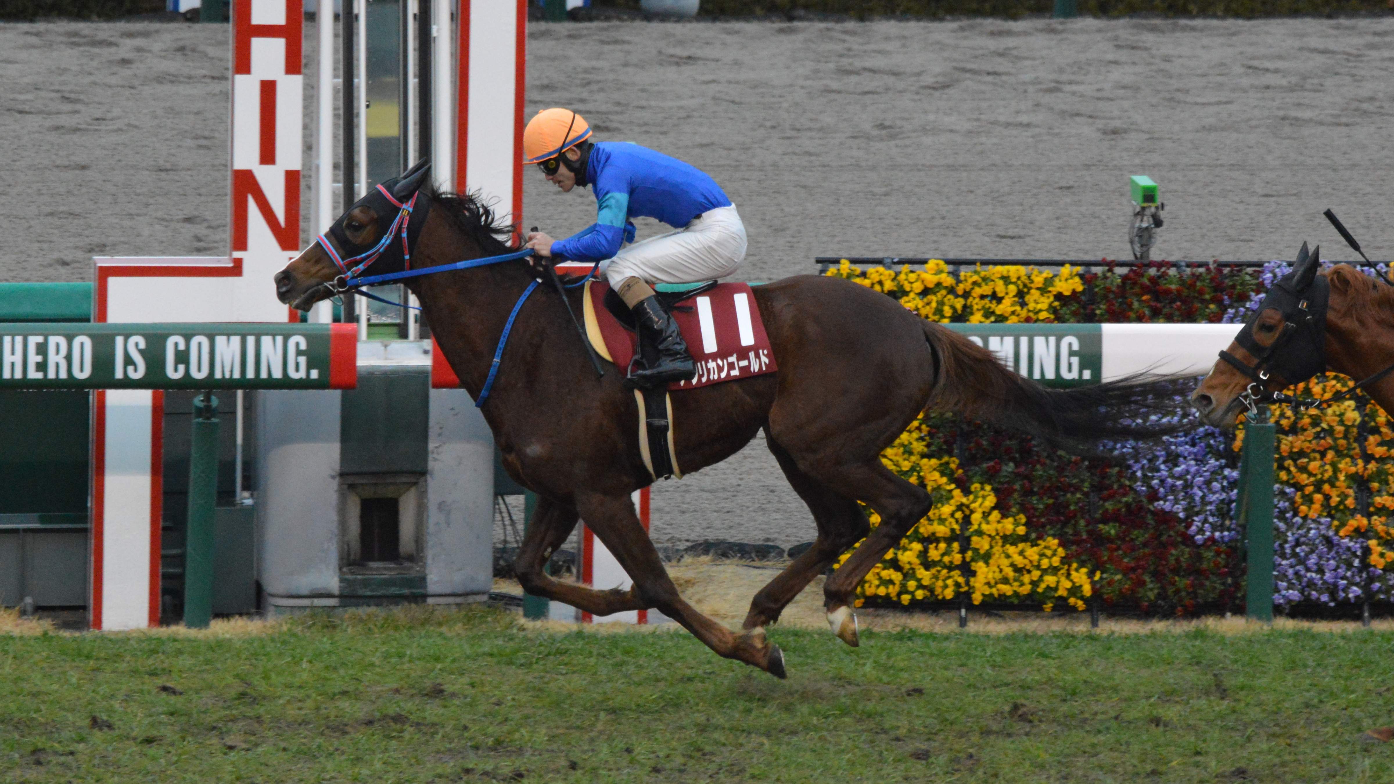 🏇 교토 경마장